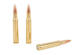 RIFLE AMMO